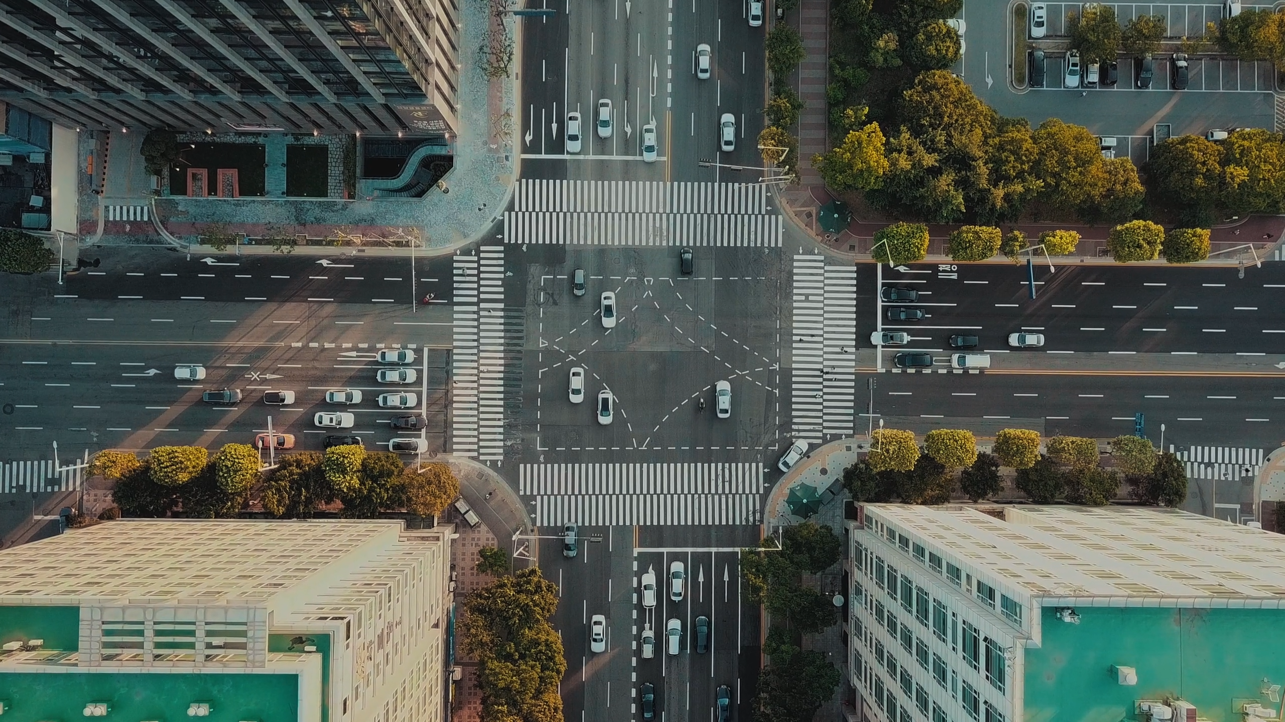 Busy Crosswalk in Downtown