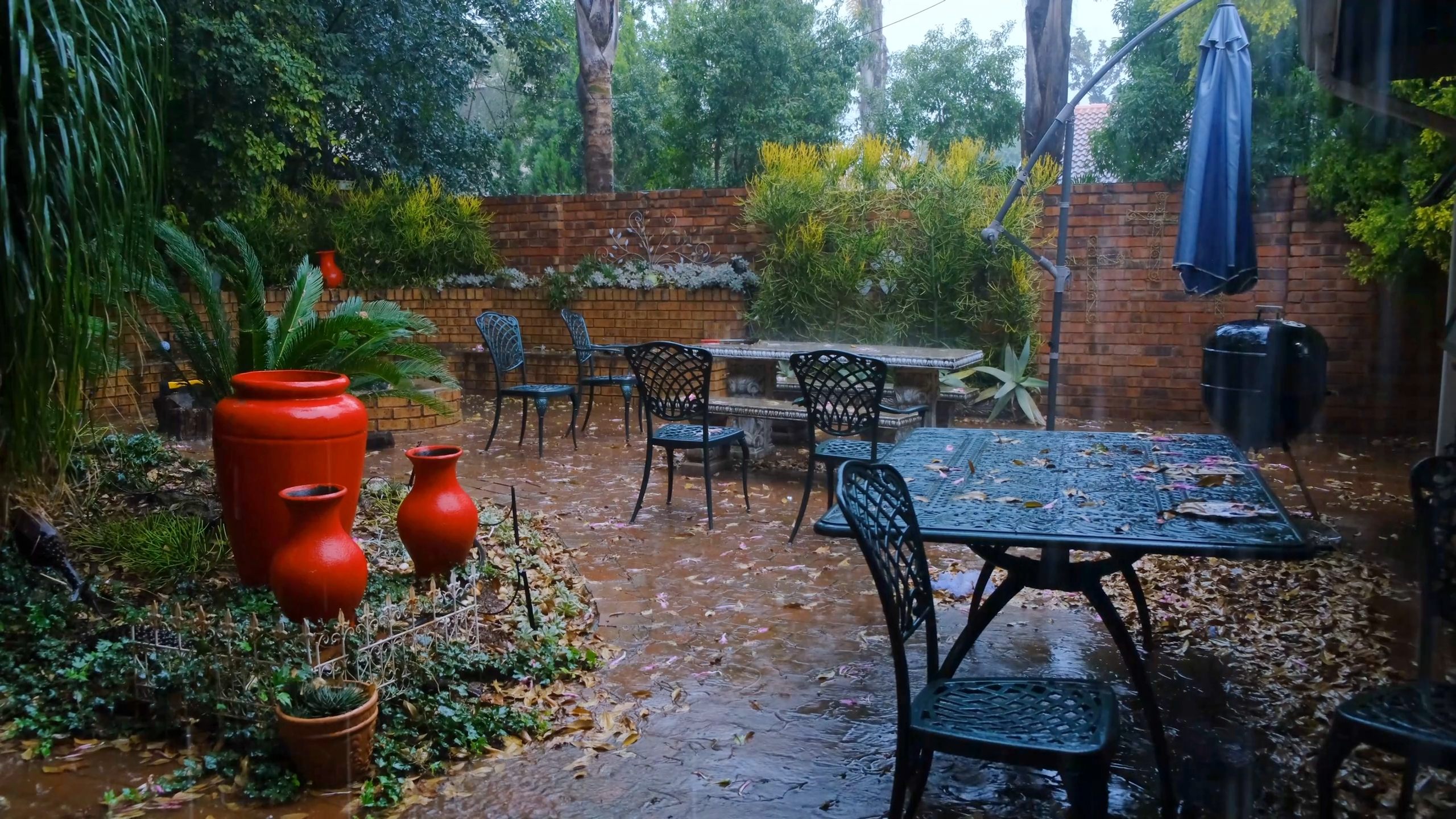 Gardening in Backyard