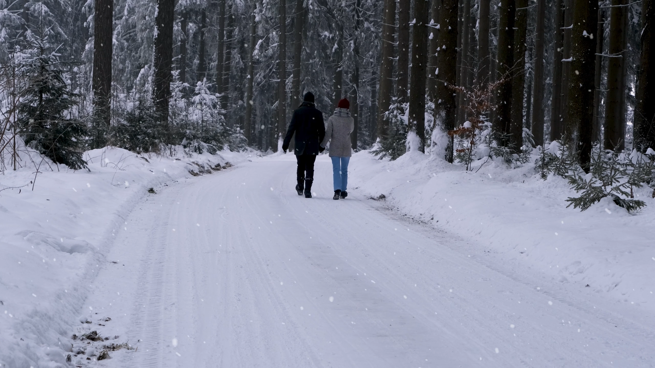 Snowfall in the Forest